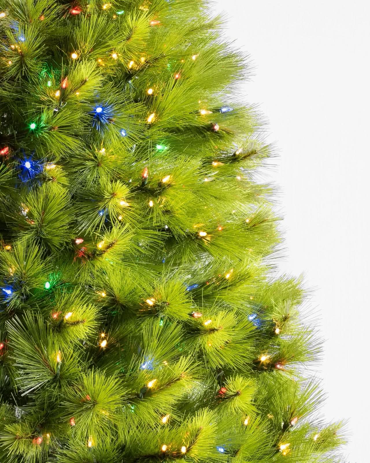 Árvore de Natal Verde Monterey Pine com Galhos Longos, Suporte Metálico e Micro LEDs Coloridos Embutidos